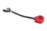 Adattatore xenon per lampadine D2S e D2R