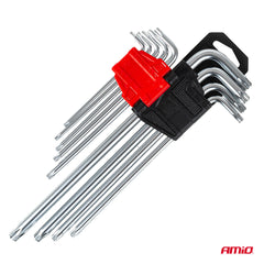 Chiavi Torx in acciaio al cromo vanadio CrV con supporto organizer