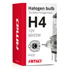 Lampadina alogena H4 con omologazione E8