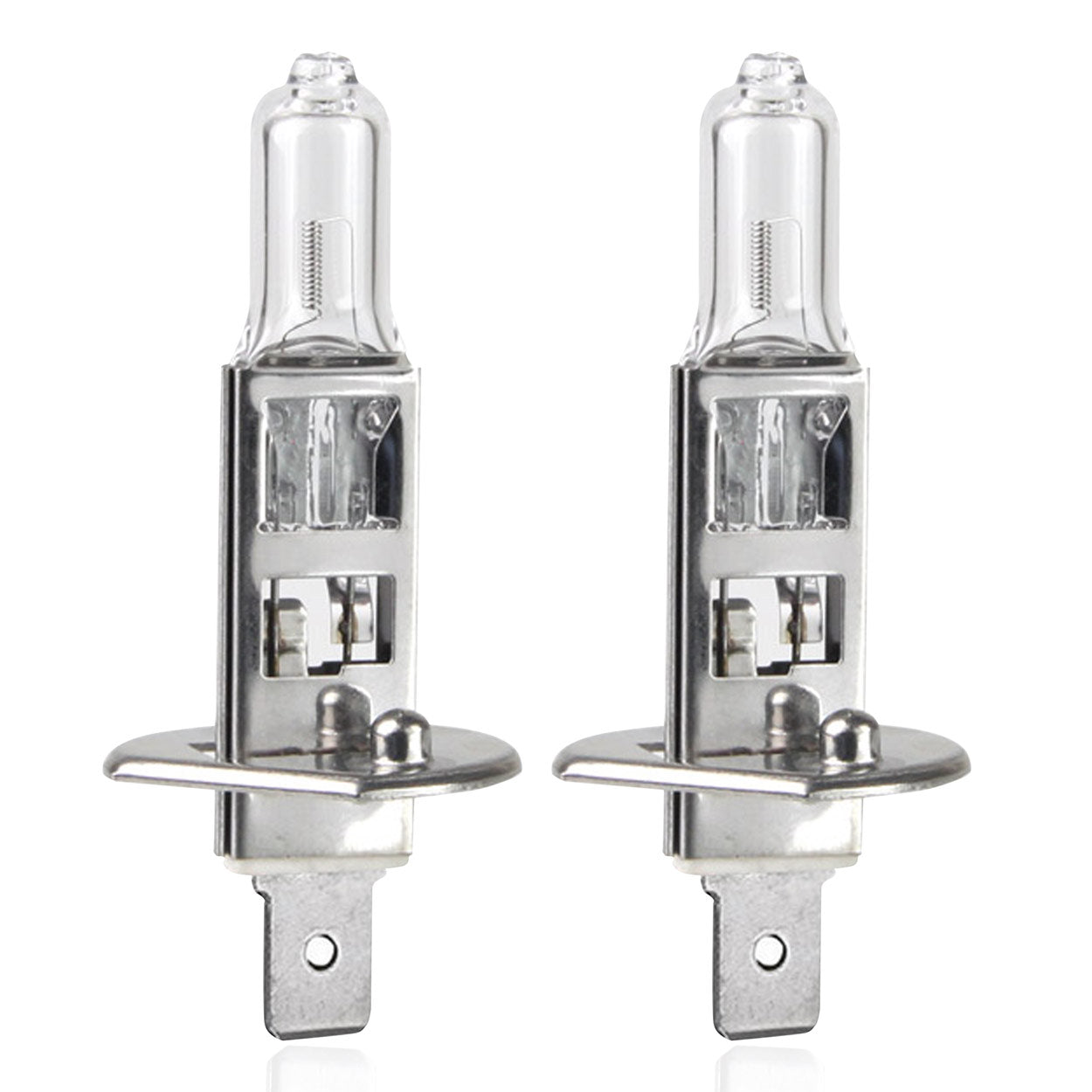 Lampadina alogena H1 da 12V e 55W