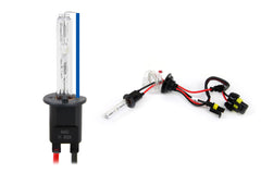 Lampadina Xenon H1 con temperatura di colore 8000K
