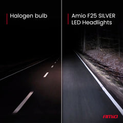 LED-pærer F25 SILVER med 62 W effekt