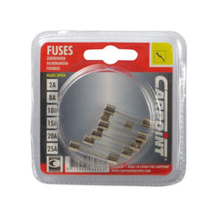 Fusibili in vetro Carpoint assortiti 8-30 A, 6 pz. 