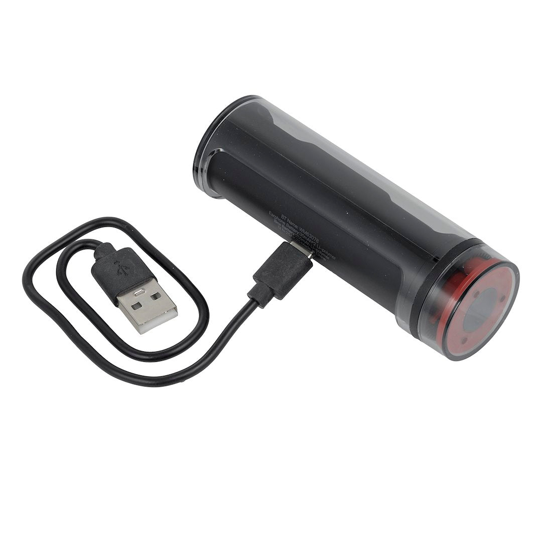 Auricolari wireless WAYME TWS con custodia