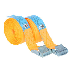 Cinghie di ancoraggio Carpoint 2 x 4,5 metri 